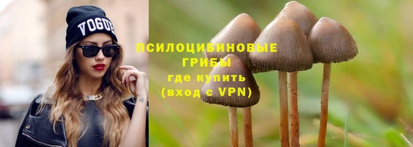 бошки Абаза