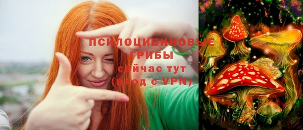 ПСИЛОЦИБИНОВЫЕ ГРИБЫ Алексеевка