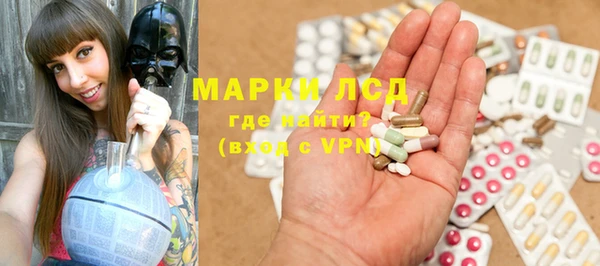 ПСИЛОЦИБИНОВЫЕ ГРИБЫ Алзамай