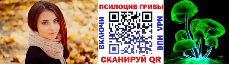 где купить   omg ссылка  Галлюциногенные грибы мицелий  Тулун 