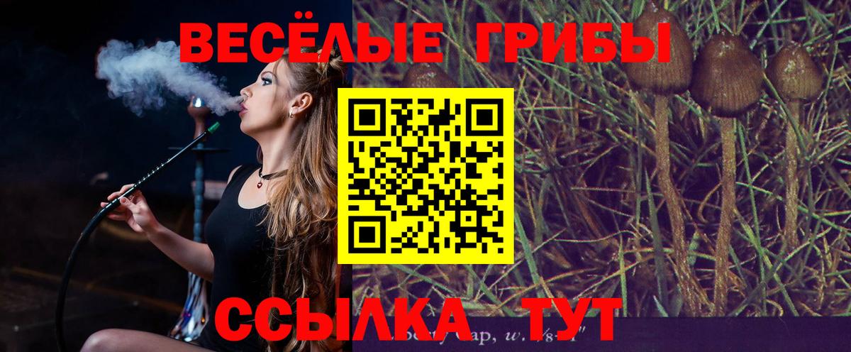 Тулун  Псилоцибиновые грибы мухоморы  Вход с VPN 